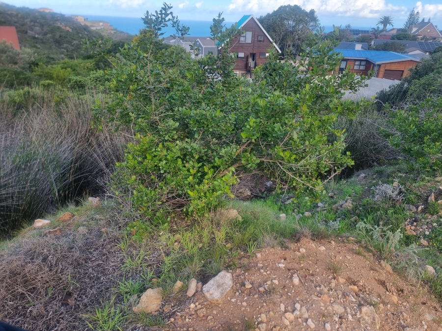 0 Bedroom Property for Sale in Dana Bay Western Cape